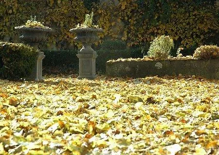 Le Manoir De Presle - Gite Montaigu-le-Blin