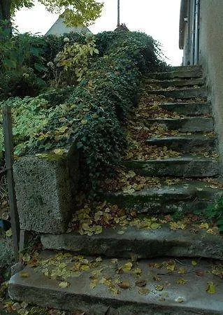 Vakantiehuis Le Manoir De Presle - Gite