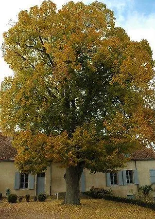 Le Manoir De Presle - Gite